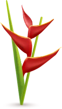 forme de fleur décorative